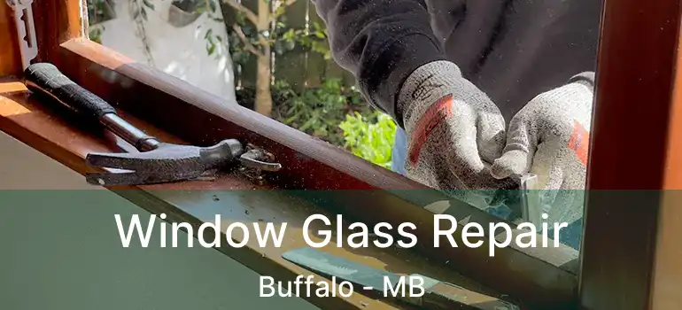  Window Glass Repair Buffalo - MB