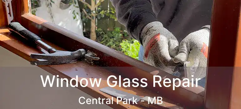  Window Glass Repair Central Park - MB