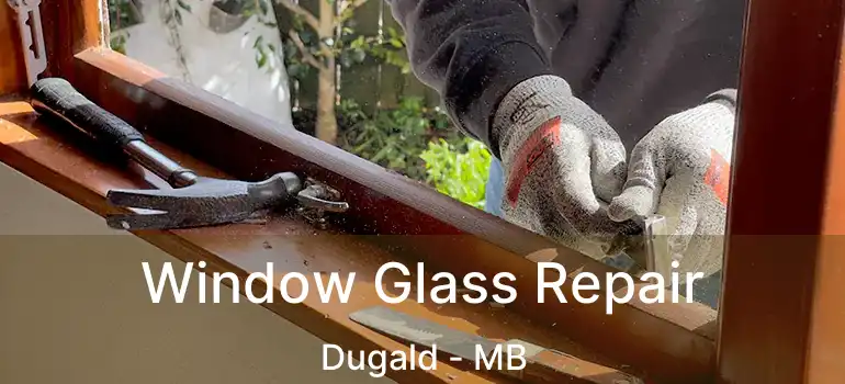  Window Glass Repair Dugald - MB