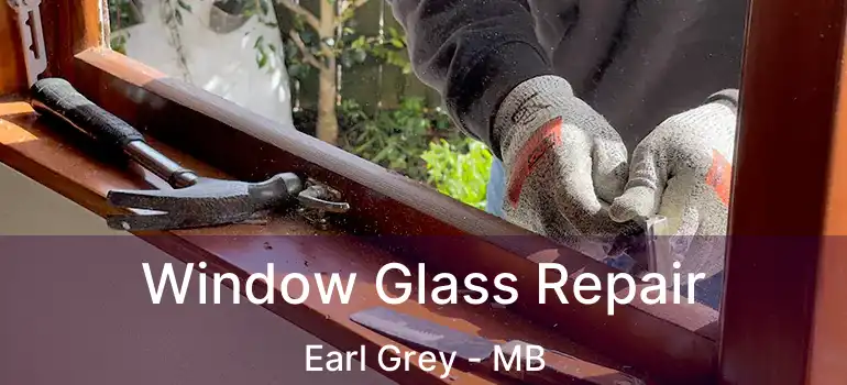  Window Glass Repair Earl Grey - MB