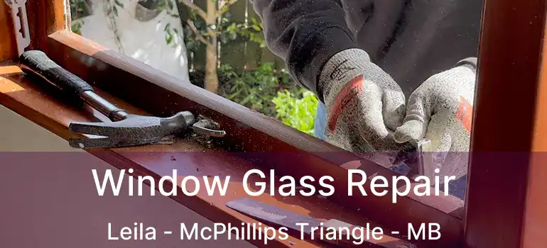  Window Glass Repair Leila - McPhillips Triangle - MB