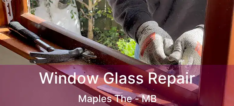  Window Glass Repair Maples The - MB
