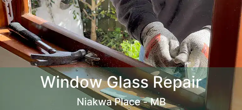  Window Glass Repair Niakwa Place - MB
