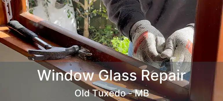  Window Glass Repair Old Tuxedo - MB