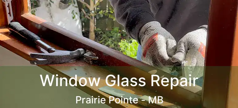  Window Glass Repair Prairie Pointe - MB