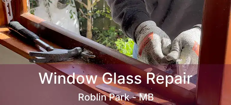  Window Glass Repair Roblin Park - MB