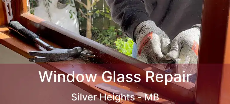  Window Glass Repair Silver Heights - MB