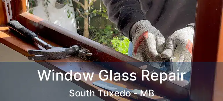  Window Glass Repair South Tuxedo - MB
