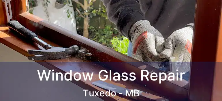  Window Glass Repair Tuxedo - MB