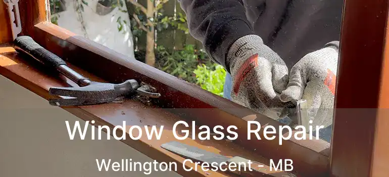  Window Glass Repair Wellington Crescent - MB