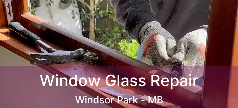  Window Glass Repair Windsor Park - MB