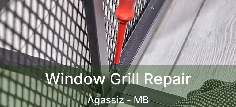  Window Grill Repair Agassiz - MB