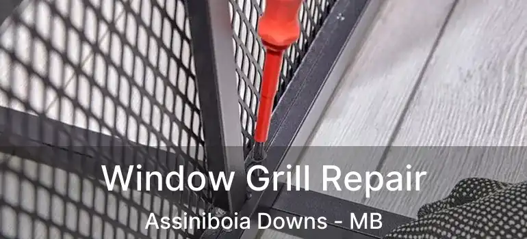  Window Grill Repair Assiniboia Downs - MB