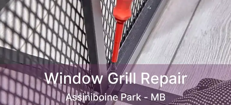 Window Grill Repair Assiniboine Park - MB