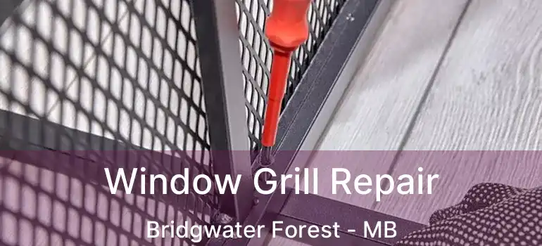  Window Grill Repair Bridgwater Forest - MB