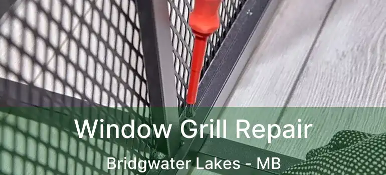  Window Grill Repair Bridgwater Lakes - MB