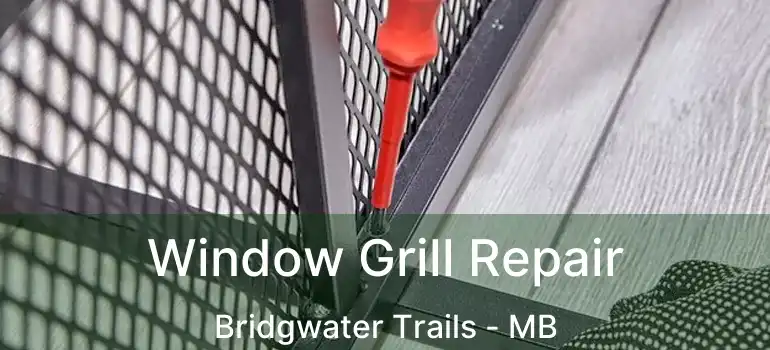  Window Grill Repair Bridgwater Trails - MB