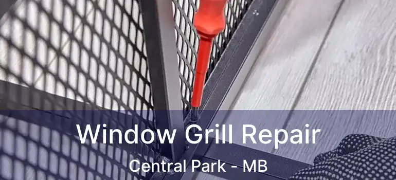  Window Grill Repair Central Park - MB