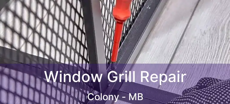  Window Grill Repair Colony - MB