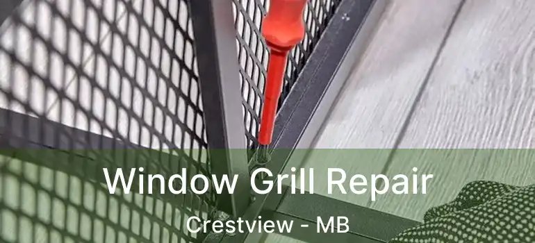  Window Grill Repair Crestview - MB