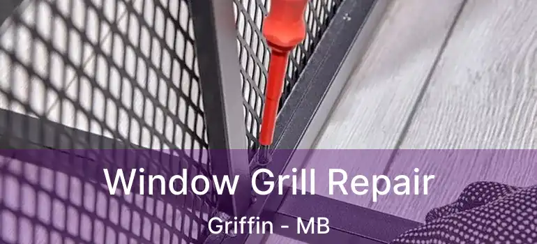  Window Grill Repair Griffin - MB