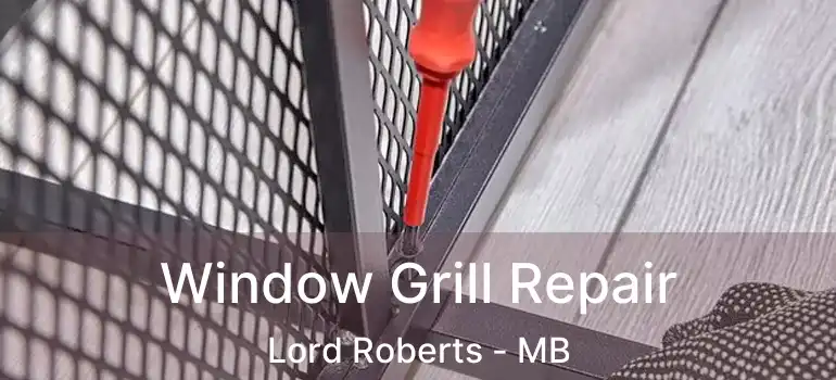  Window Grill Repair Lord Roberts - MB