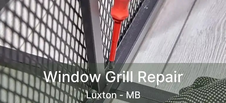  Window Grill Repair Luxton - MB