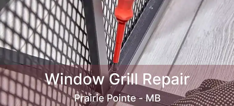 Window Grill Repair Prairie Pointe - MB