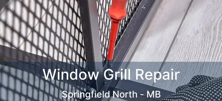  Window Grill Repair Springfield North - MB