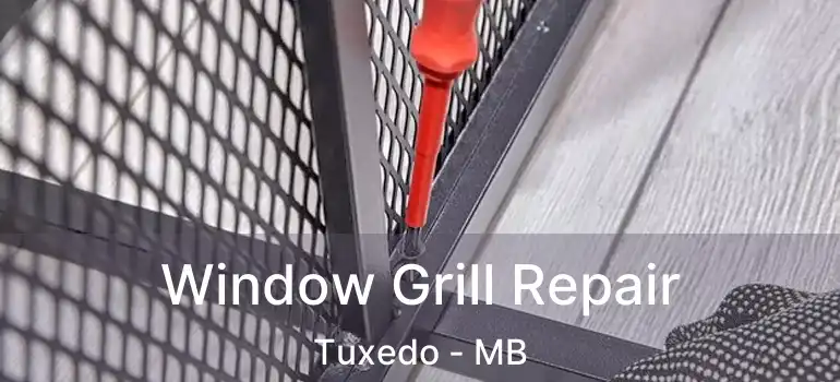  Window Grill Repair Tuxedo - MB