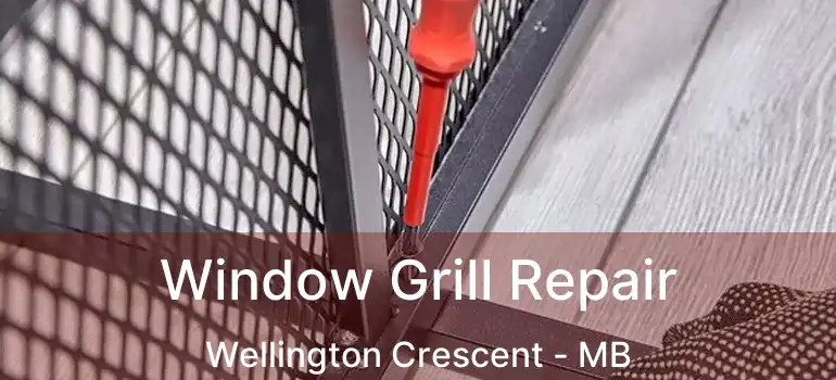  Window Grill Repair Wellington Crescent - MB