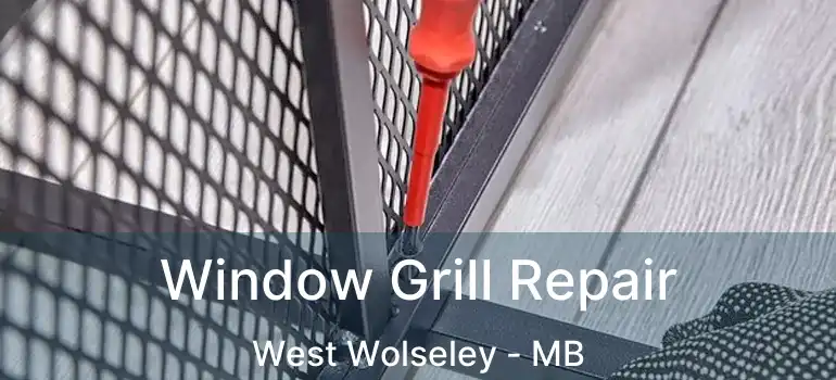  Window Grill Repair West Wolseley - MB