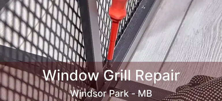  Window Grill Repair Windsor Park - MB