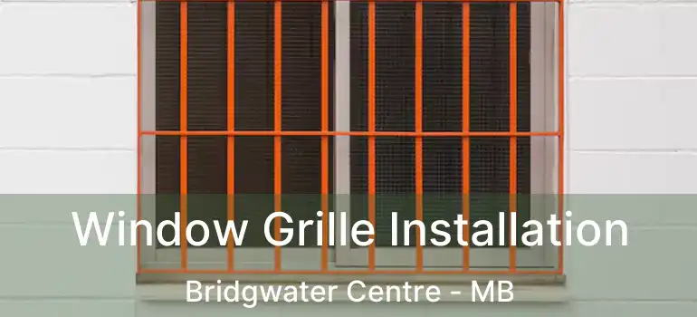  Window Grille Installation Bridgwater Centre - MB