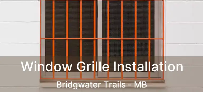  Window Grille Installation Bridgwater Trails - MB