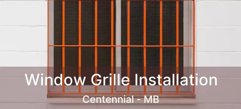  Window Grille Installation Centennial - MB