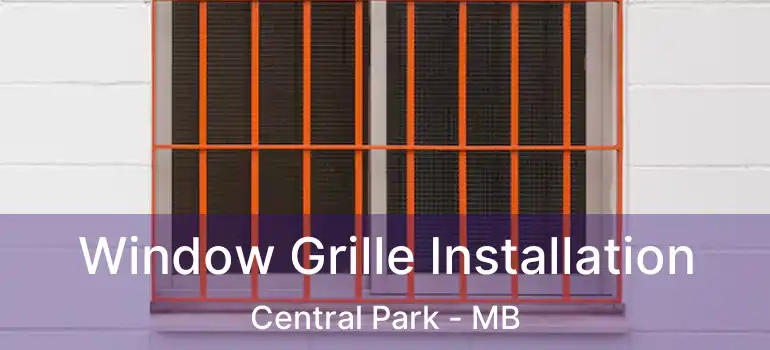  Window Grille Installation Central Park - MB