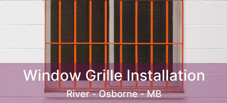  Window Grille Installation River - Osborne - MB
