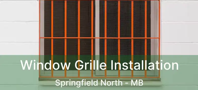  Window Grille Installation Springfield North - MB