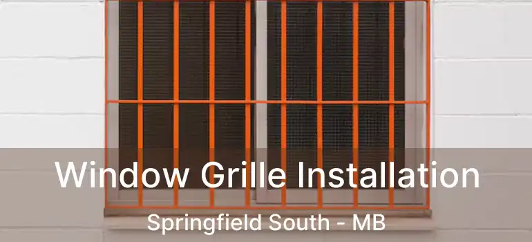  Window Grille Installation Springfield South - MB
