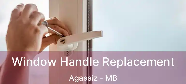  Window Handle Replacement Agassiz - MB