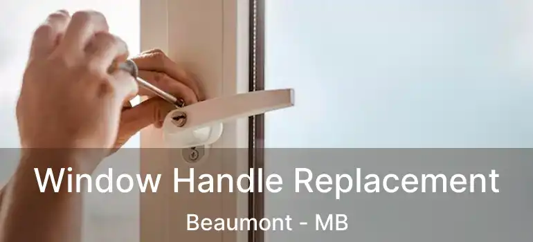  Window Handle Replacement Beaumont - MB