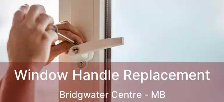  Window Handle Replacement Bridgwater Centre - MB