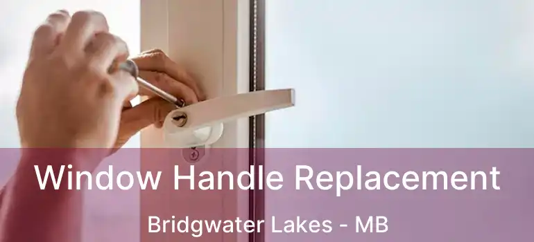  Window Handle Replacement Bridgwater Lakes - MB
