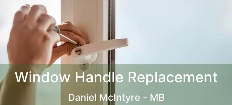  Window Handle Replacement Daniel McIntyre - MB