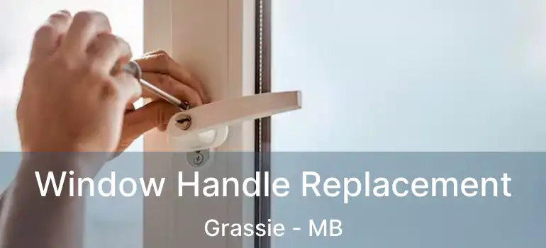  Window Handle Replacement Grassie - MB