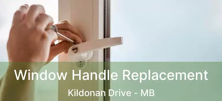  Window Handle Replacement Kildonan Drive - MB