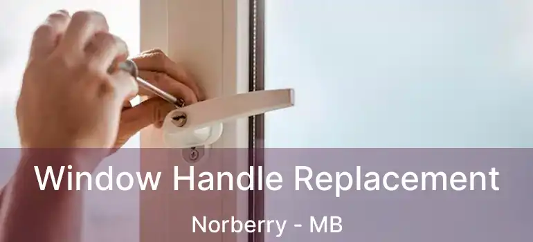  Window Handle Replacement Norberry - MB
