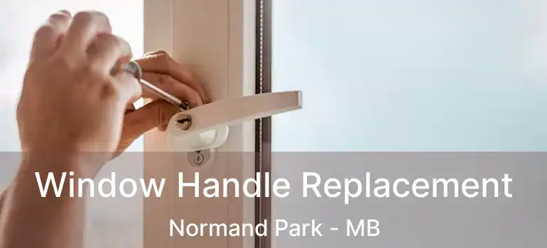  Window Handle Replacement Normand Park - MB
