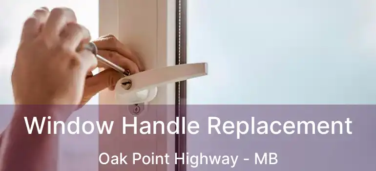  Window Handle Replacement Oak Point Highway - MB